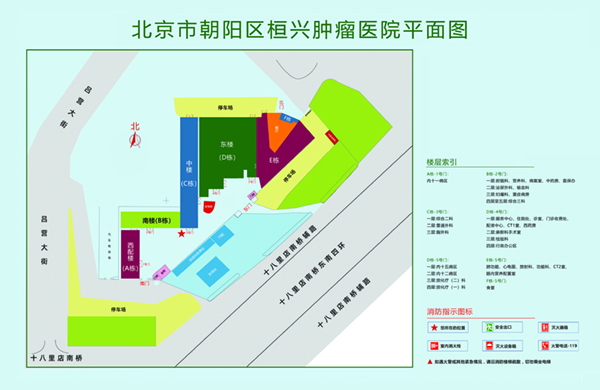 黄色超级大鸡鸡视频大全北京市朝阳区桓兴肿瘤医院平面图